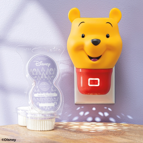 Wall Fan Diffuser - Picture 4 of 4